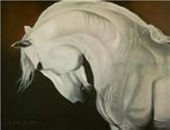 Horse painting 11
