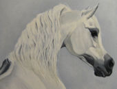 Horse painting  - 76x61cm Grey Arab