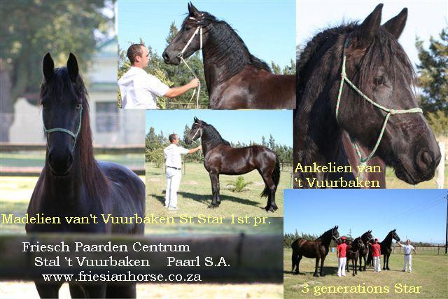 Collage of Madelien Collage of Madelien