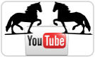 Friesian Horse video