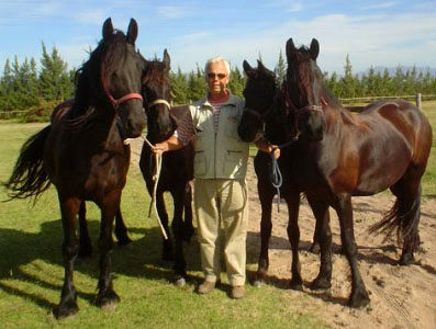 Pierre with our mares Pierre with our mares
