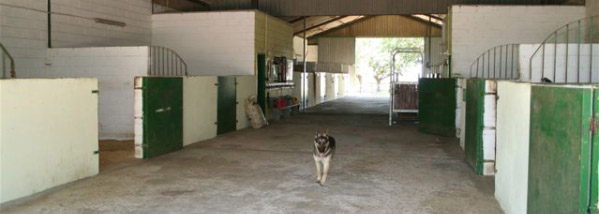 Stables Stables