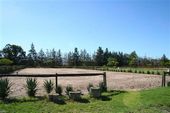 Friesch Paarden Centrum - for sale 03