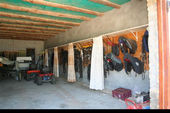 Friesch Paarden Centrum - for sale 30