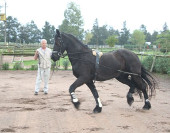 Ankelien van 't Vuurbaken