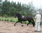 Ankelien van 't Vuurbaken