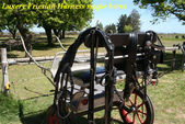 Friesian Harness 1